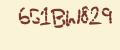 RTM captcah